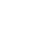 inspectie_ikoon
